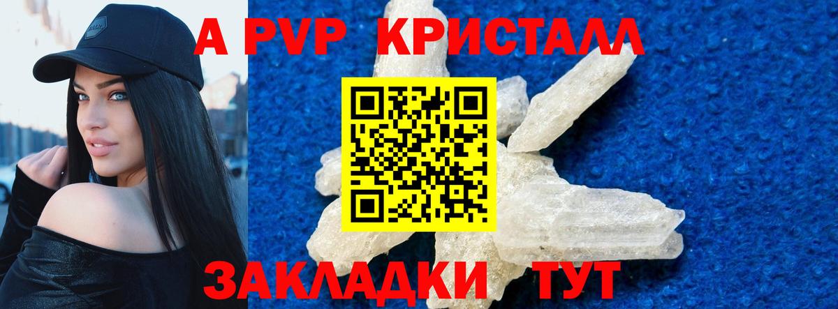 Альфа ПВП СК Новодвинск